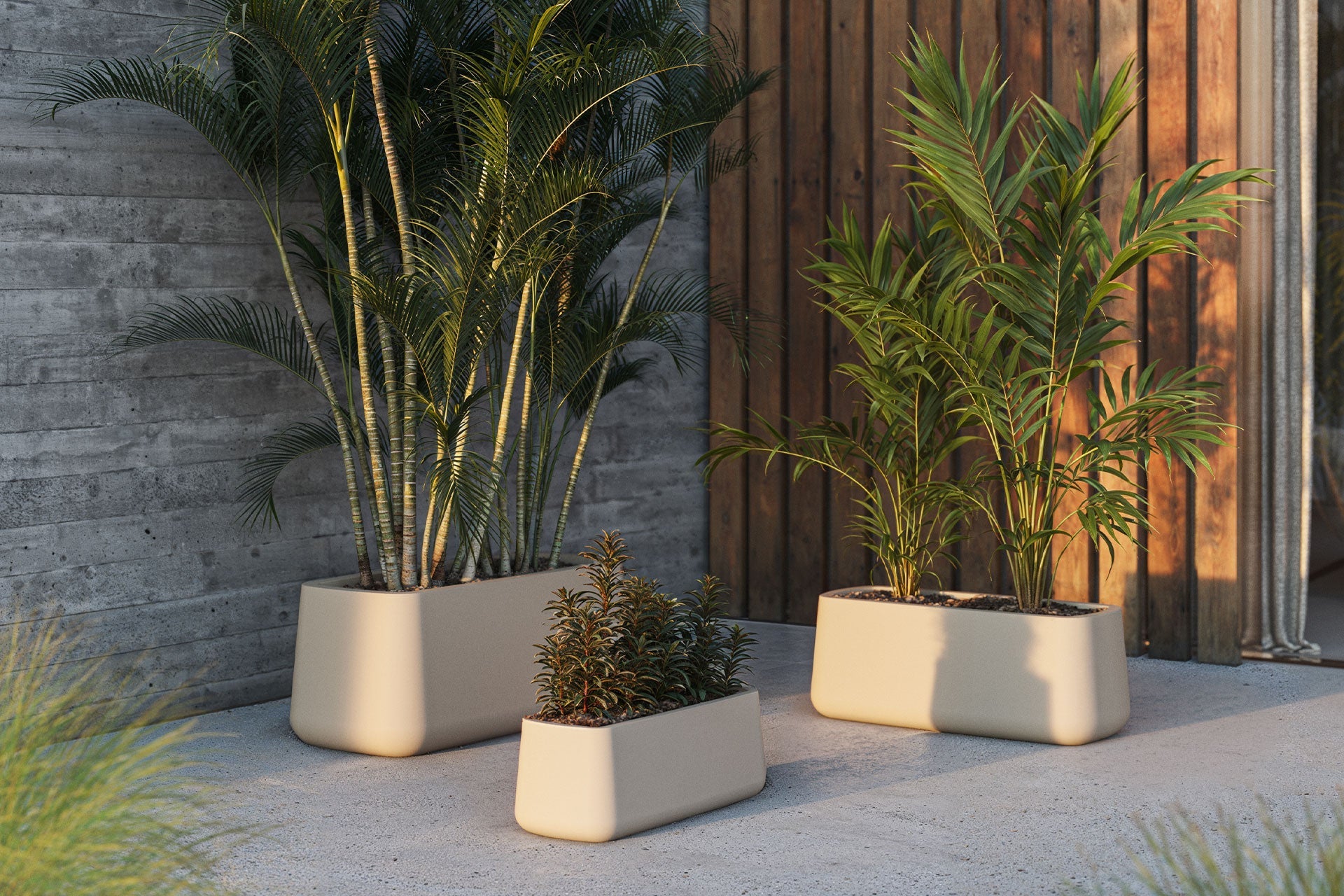 PLANTERS