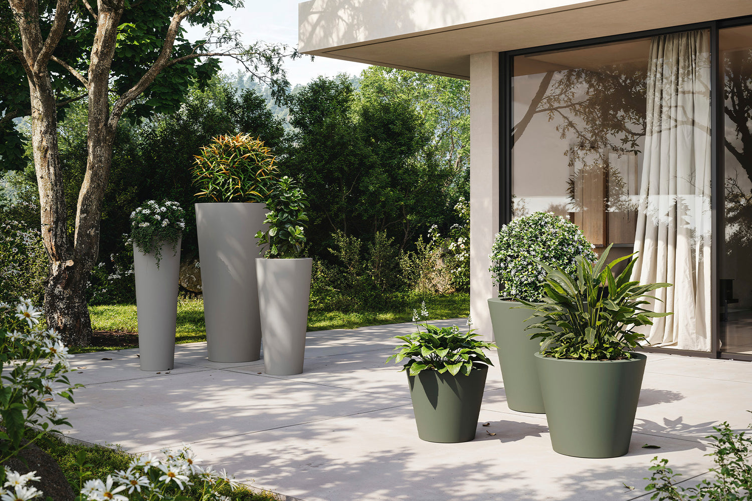 Mibu 