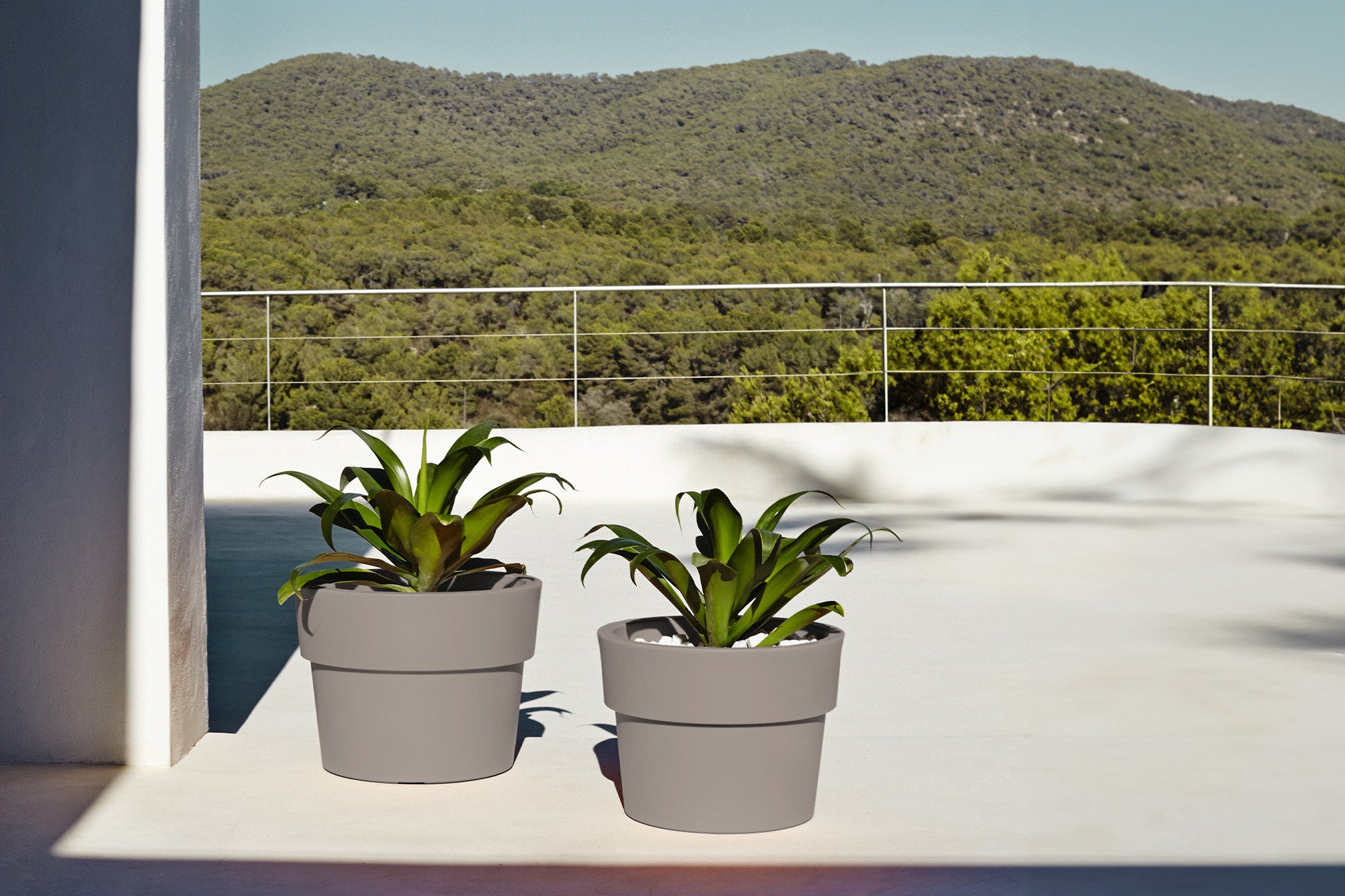 Vaso planter